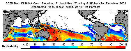 Current Bleaching Heat Stress Outlook Probability - Warning and higher