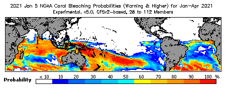 Current Bleaching Heat Stress Outlook Probability - Warning and higher