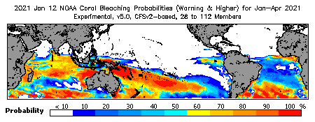 Current Bleaching Heat Stress Outlook Probability - Warning and higher