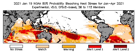 Bleaching Outlook - 60% probability