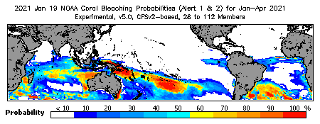 Current Bleaching Heat Stress Outlook Probability - Alert Levels 1 and 2