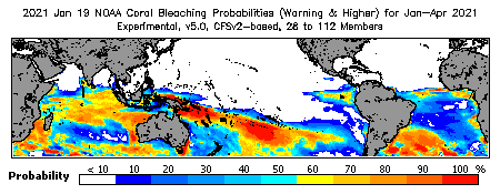 Current Bleaching Heat Stress Outlook Probability - Warning and higher