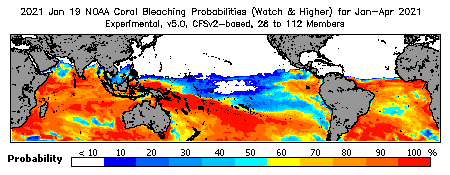 Current Bleaching Heat Stress Outlook Probability - Watch and higher