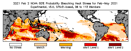 Bleaching Outlook - 60% probability