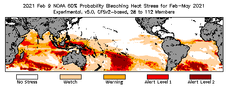 Bleaching Outlook - 60% probability