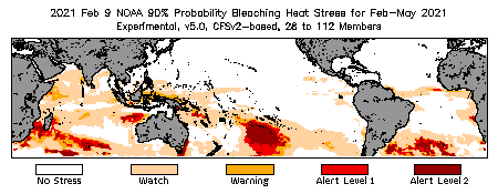 Bleaching Outlook - 90% probability