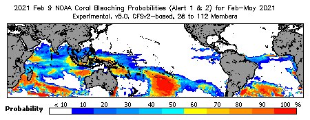 Current Bleaching Heat Stress Outlook Probability - Alert Levels 1 and 2