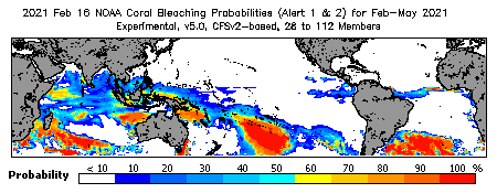 Current Bleaching Heat Stress Outlook Probability - Alert Levels 1 and 2