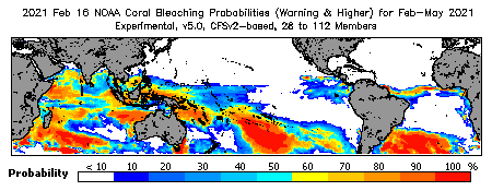 Current Bleaching Heat Stress Outlook Probability - Warning and higher