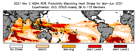 Bleaching Outlook - 60% probability