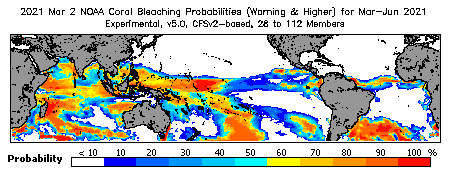 Current Bleaching Heat Stress Outlook Probability - Warning and higher