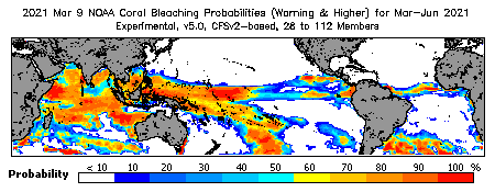 Current Bleaching Heat Stress Outlook Probability - Warning and higher