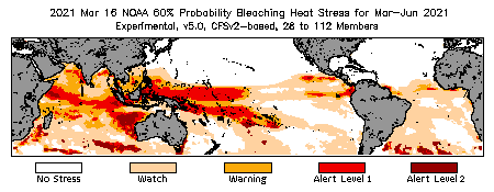 Bleaching Outlook - 60% probability