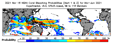 Current Bleaching Heat Stress Outlook Probability - Alert Levels 1 and 2