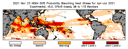 Bleaching Outlook - 60% probability