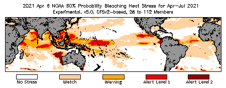 Bleaching Outlook - 60% probability