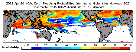 Current Bleaching Heat Stress Outlook Probability - Warning and higher