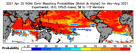 Current Bleaching Heat Stress Outlook Probability - Watch and higher