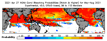 Current Bleaching Heat Stress Outlook Probability - Watch and higher