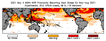 Bleaching Outlook - 60% probability
