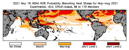 Bleaching Outlook - 60% probability