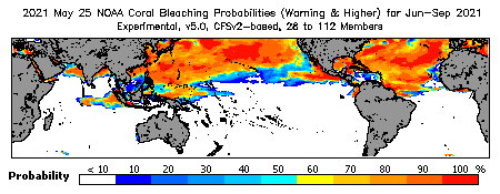 Current Bleaching Heat Stress Outlook Probability - Warning and higher