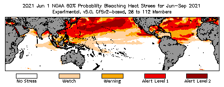 Bleaching Outlook - 60% probability