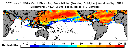 Current Bleaching Heat Stress Outlook Probability - Warning and higher