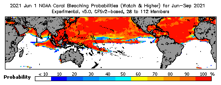 Current Bleaching Heat Stress Outlook Probability - Watch and higher