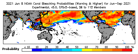 Current Bleaching Heat Stress Outlook Probability - Warning and higher