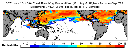 Current Bleaching Heat Stress Outlook Probability - Warning and higher