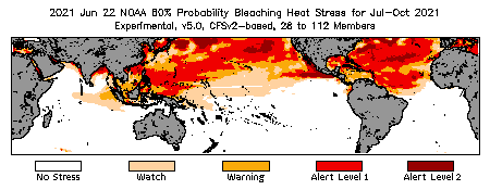 Bleaching Outlook - 60% probability