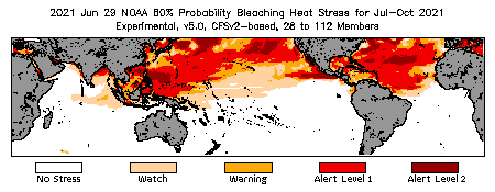 Bleaching Outlook - 60% probability