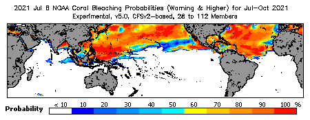 Current Bleaching Heat Stress Outlook Probability - Warning and higher