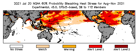 Bleaching Outlook - 60% probability