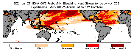 Bleaching Outlook - 60% probability