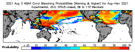 Current Bleaching Heat Stress Outlook Probability - Warning and higher