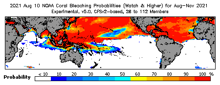 Current Bleaching Heat Stress Outlook Probability - Watch and higher