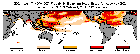 Bleaching Outlook - 60% probability