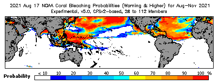 Current Bleaching Heat Stress Outlook Probability - Warning and higher