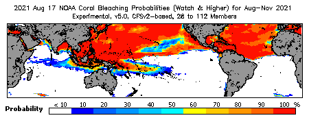 Current Bleaching Heat Stress Outlook Probability - Watch and higher