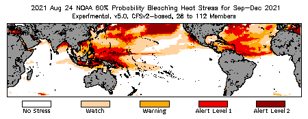 Bleaching Outlook - 60% probability