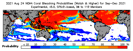 Current Bleaching Heat Stress Outlook Probability - Watch and higher