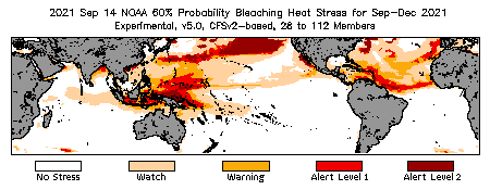 Bleaching Outlook - 60% probability