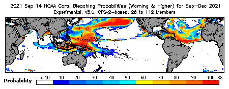 Current Bleaching Heat Stress Outlook Probability - Warning and higher