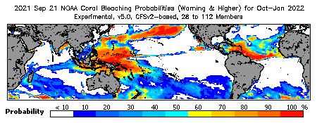 Current Bleaching Heat Stress Outlook Probability - Warning and higher