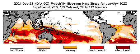 Bleaching Outlook - 60% probability