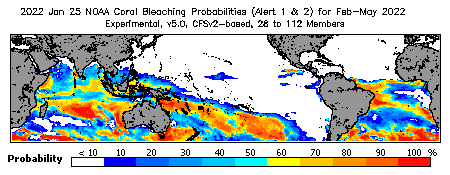 Current Bleaching Heat Stress Outlook Probability - Alert Levels 1 and 2