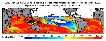 Current Bleaching Heat Stress Outlook Probability - Watch and higher