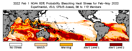 Bleaching Outlook - 60% probability